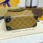 Louis Vuitton Noe Trunk PM M13324 Apricot